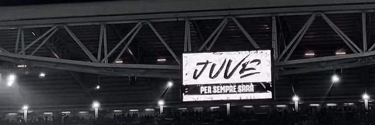 V ι 🐢's banner