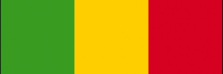 𝐋𝐞 6𝑒 Général 🇲🇱🇲🇱 après les 5's banner