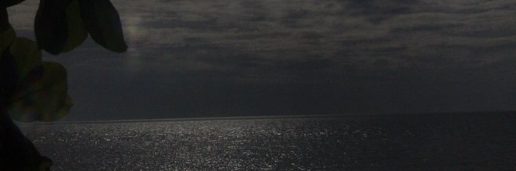 iman's banner