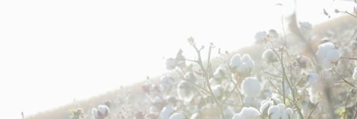 dollcored's banner