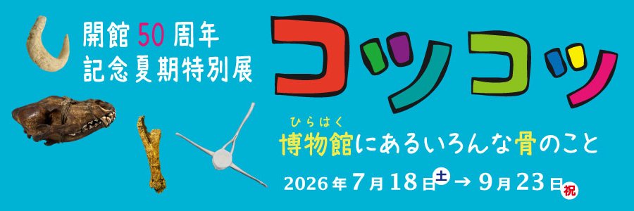 平塚市博物館【公式】's banner