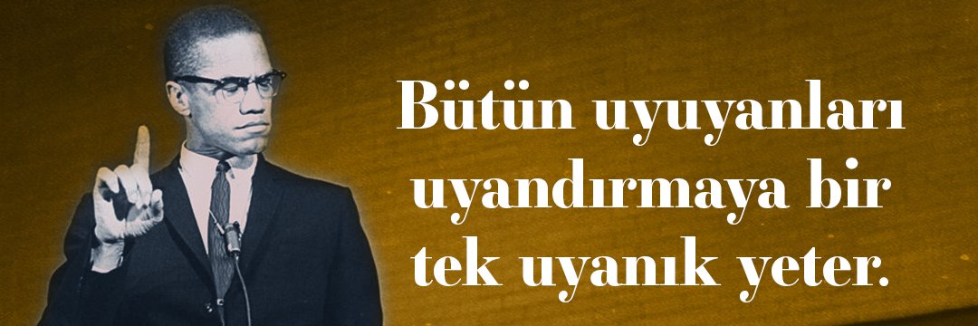 Reformist's banner