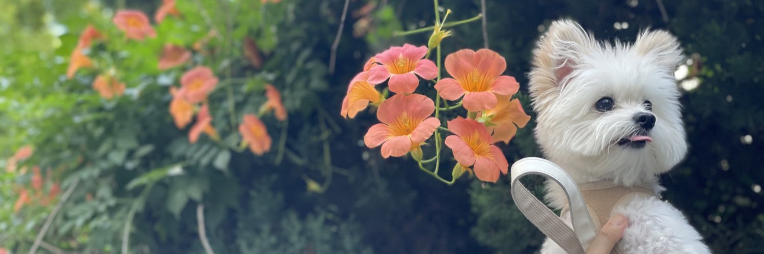 겸돌이's banner