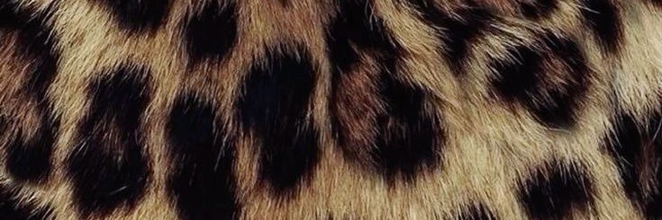 Alara's banner
