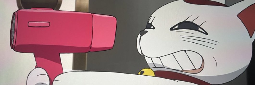 jordan's banner