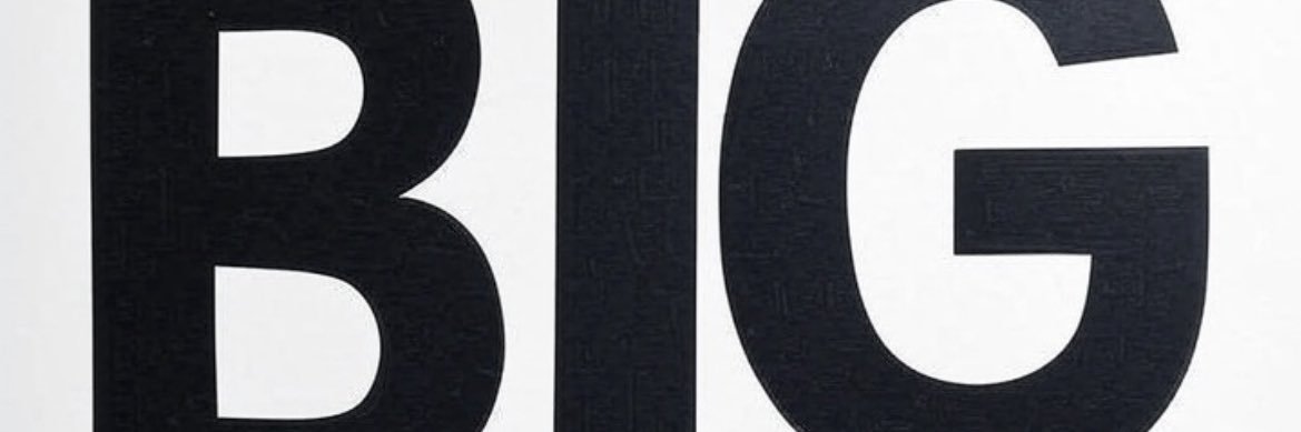 ビッグちゃん（TEAMシンガリ）'s banner