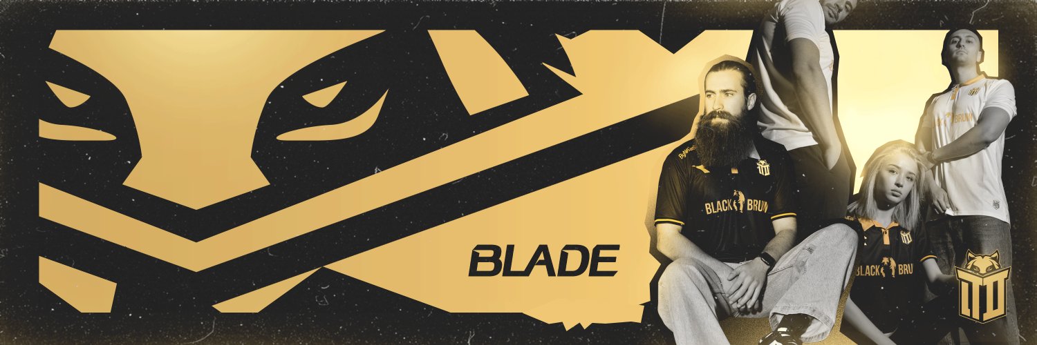 Team Demiral Esports's banner