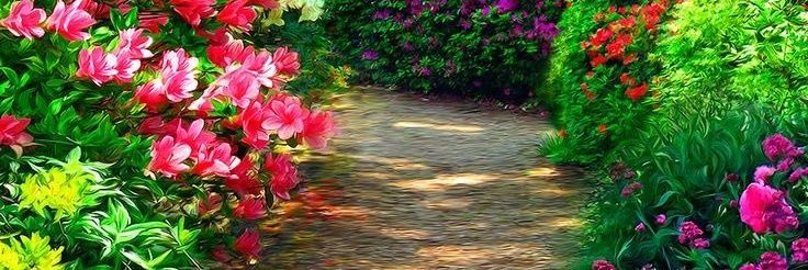 إرم أولاد ثاني's banner