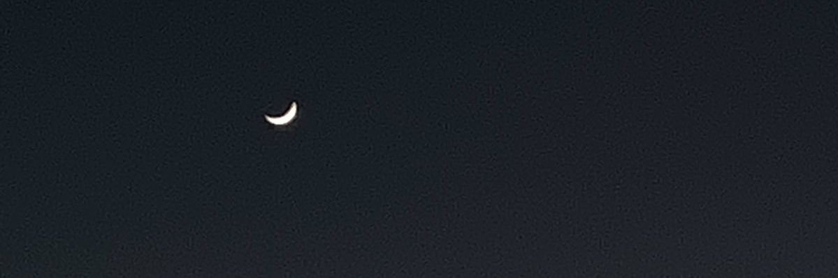𝓂's banner