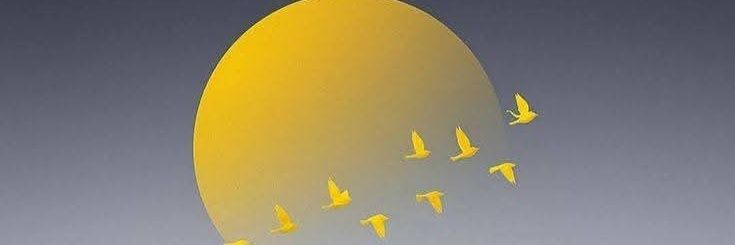 💕♥️ 🌟ꪜ ỉ ꪹ ỉ ᡶ ꪖ 🌟♥️💕's banner