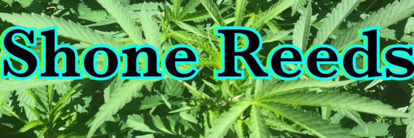 SHONE REEDS's banner