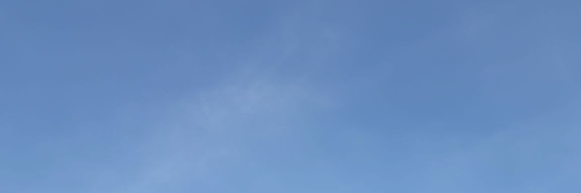 Şeyma Çiftci's banner