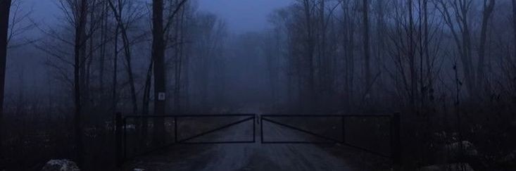 ᧁꪖꪀ's banner