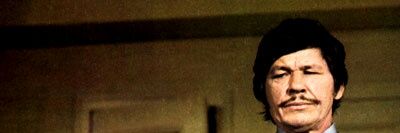 Vengador Anónimo®'s banner