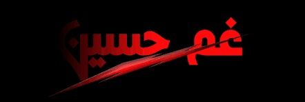 SYED HASSAN SHAH's banner