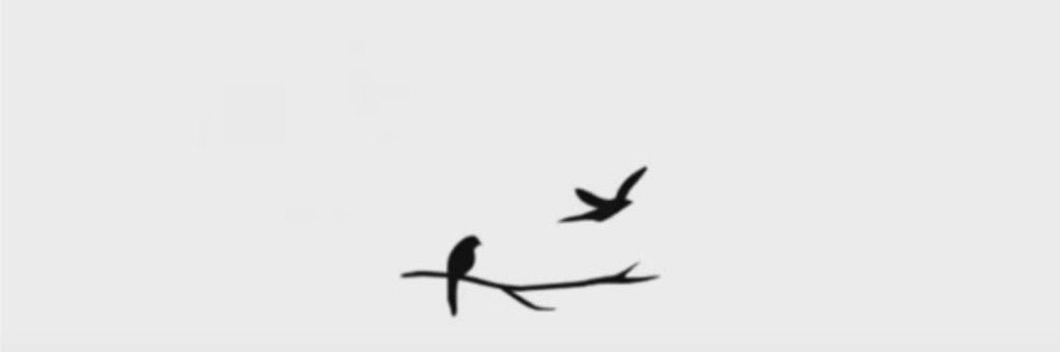 عهد🕊️'s banner