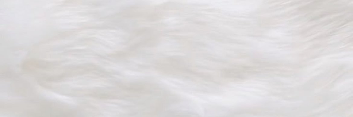 marica🎗️'s banner