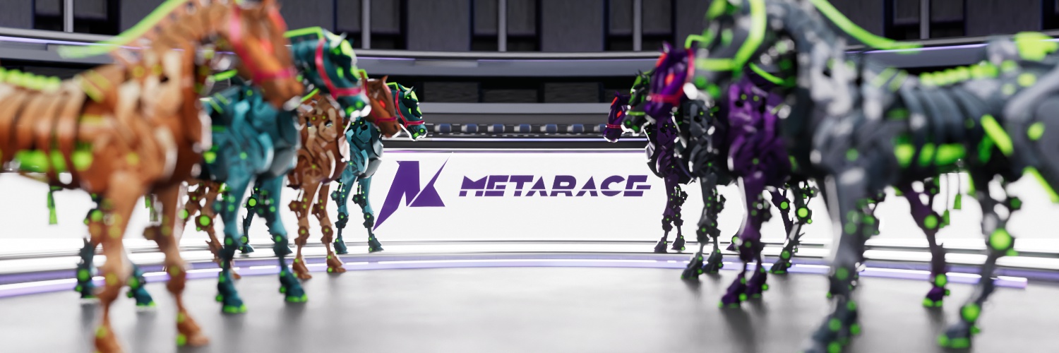 MetaRace New's banner