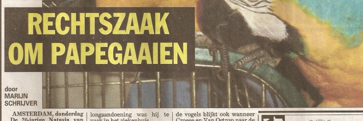 Marijn Schrijver's banner
