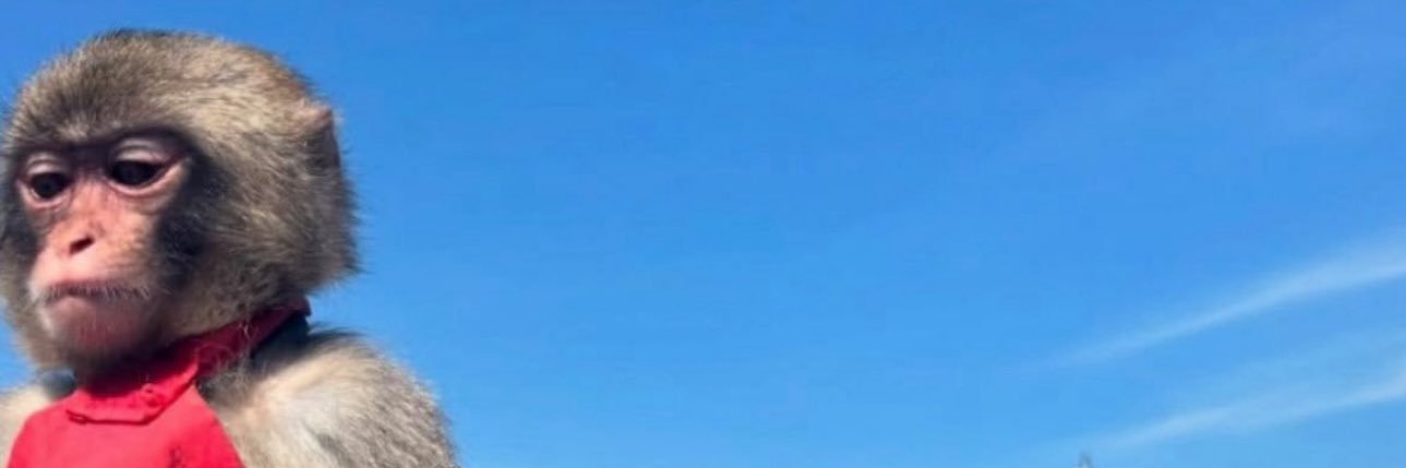 L 🇯🇲🇧🇧's banner