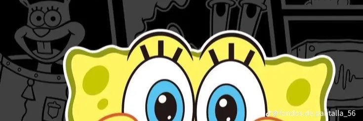 Mapache's banner