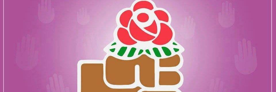 Partido Socialista's banner