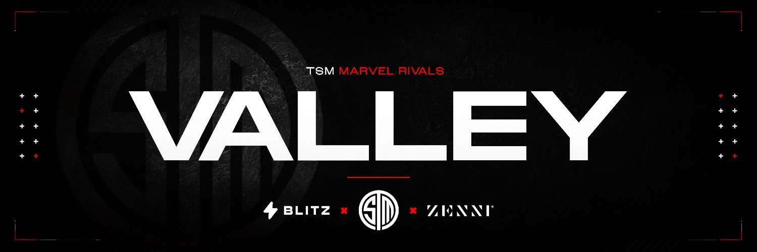 TSM Valley's banner