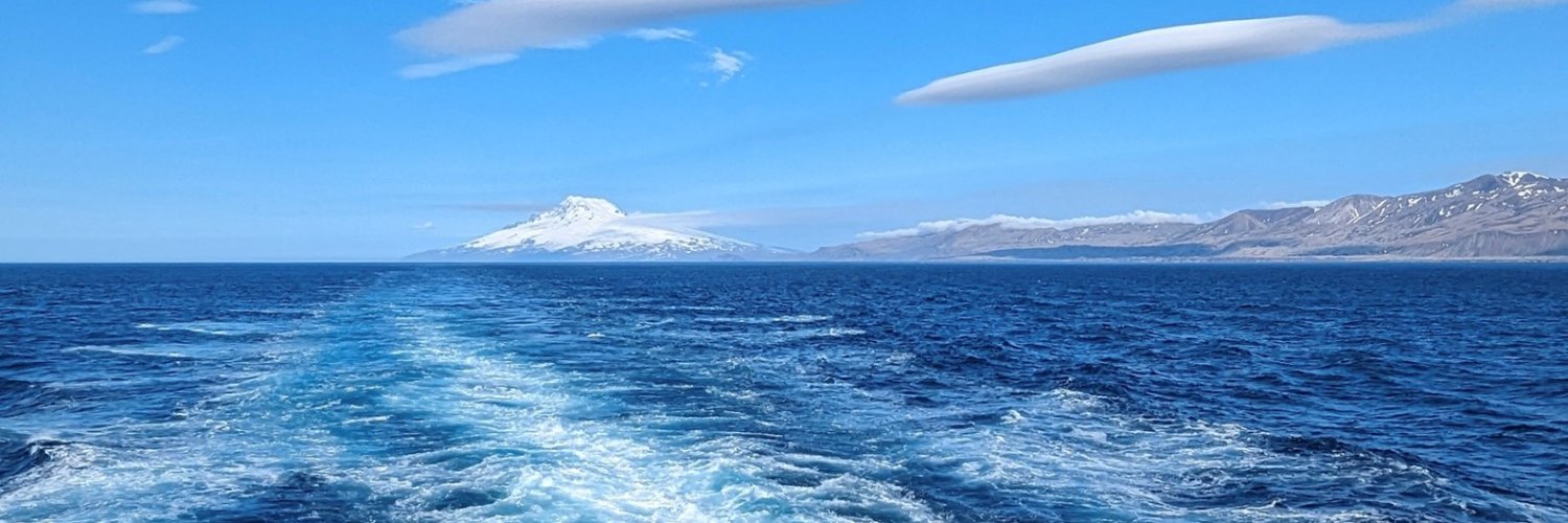 Cruise Critic's banner