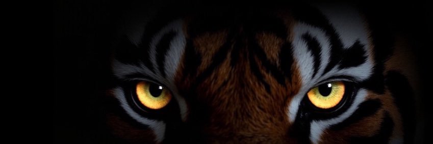 Bengals Graphics's banner