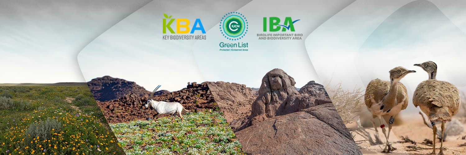 هيئة تطوير محمية الملك سلمان بن عبدالعزيز الملكية's banner