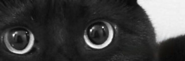 KIKI's banner