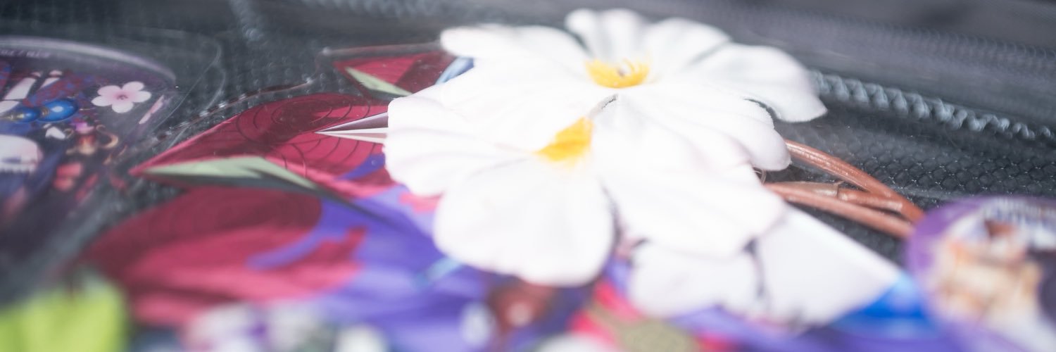 𓆛肴𓆜さ𓆝か𓆞な𓆟_📸's banner