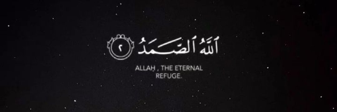 𝕻𝖎𝖈𝖆𝖗𝕺_|🍁's banner