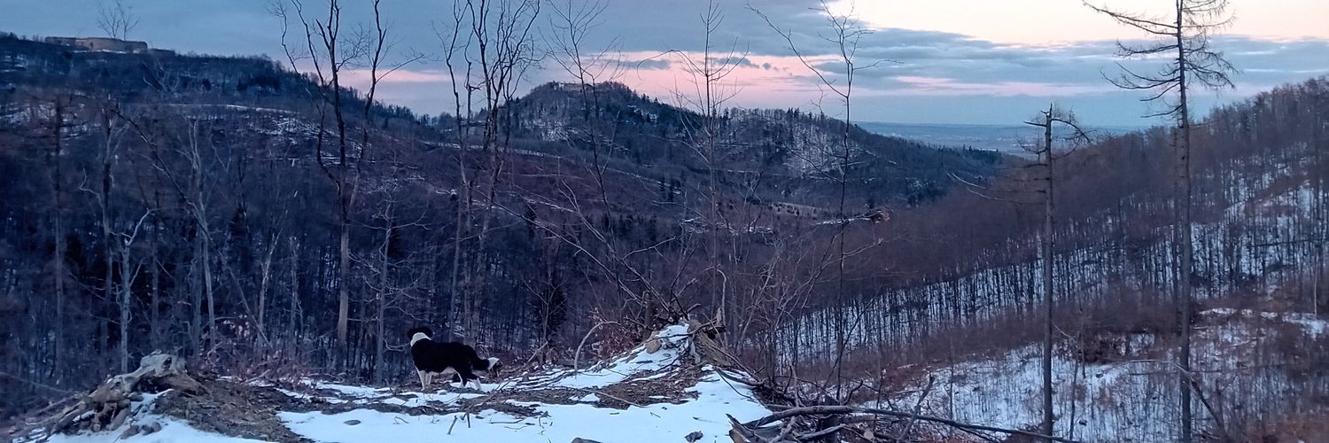 Perczi's banner