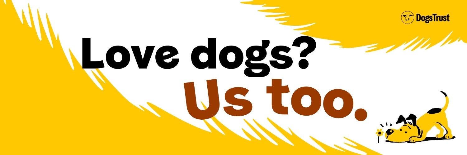 Dogs Trust 💛🐶's banner