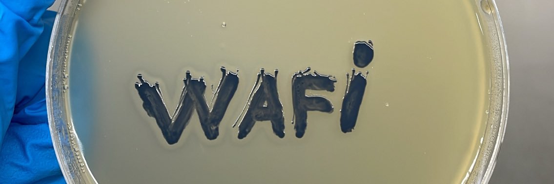 وافي بن محمد🧬's banner