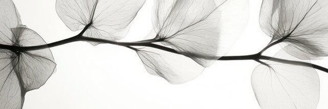 bian ༉'s banner