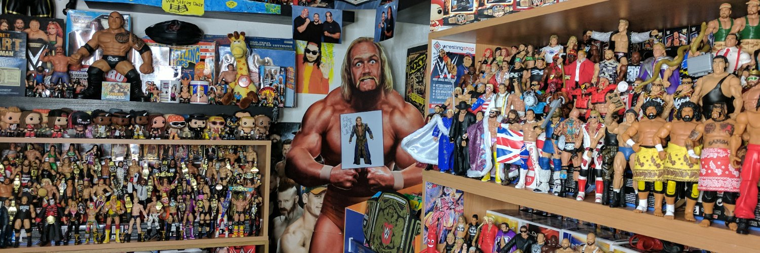 Wrestling Daze's banner