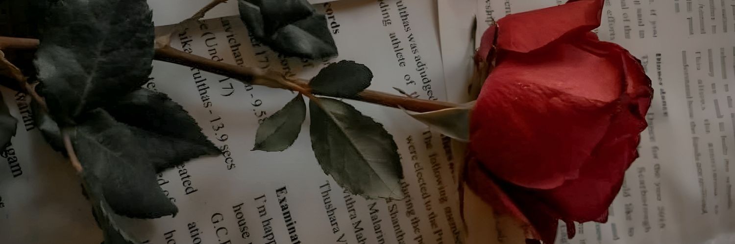 𝕭𝖆𝖗𝖆𝖓🖤's banner