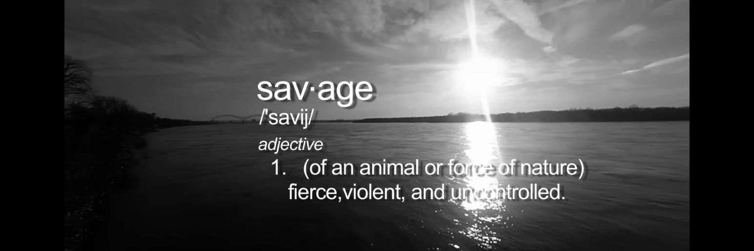 _TheSavageRoom's banner