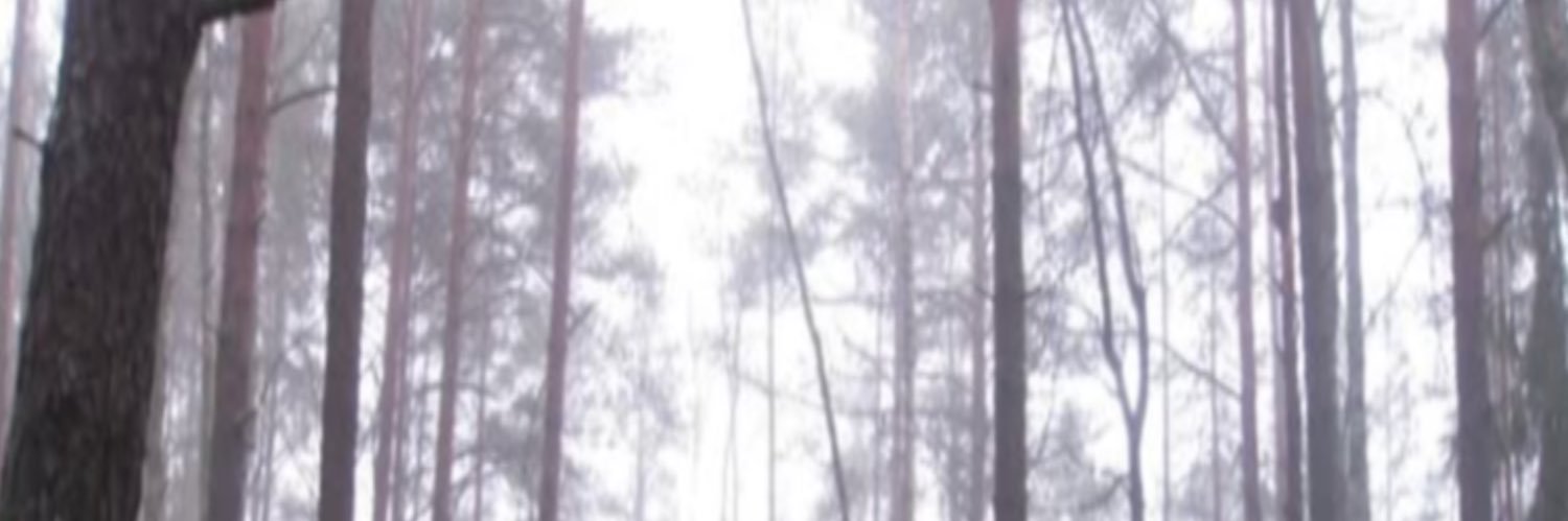 MANIJA's banner