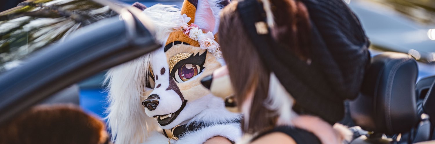 LunariFox's banner