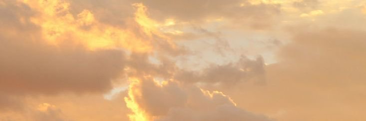 naty's banner