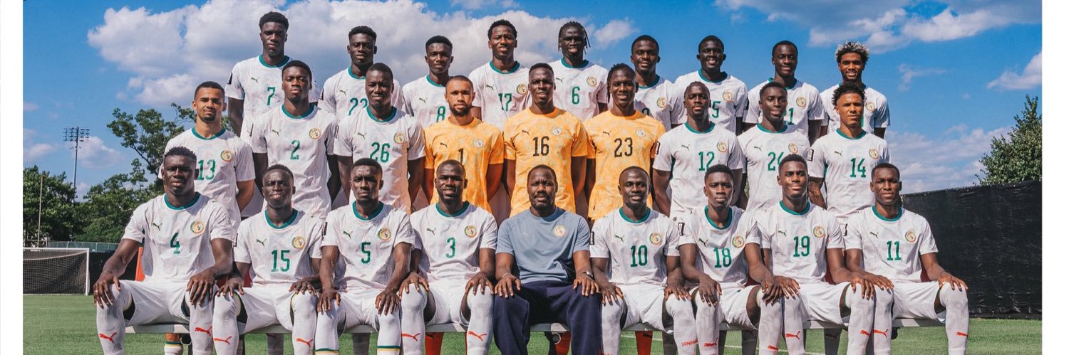Lion🇸🇳's banner