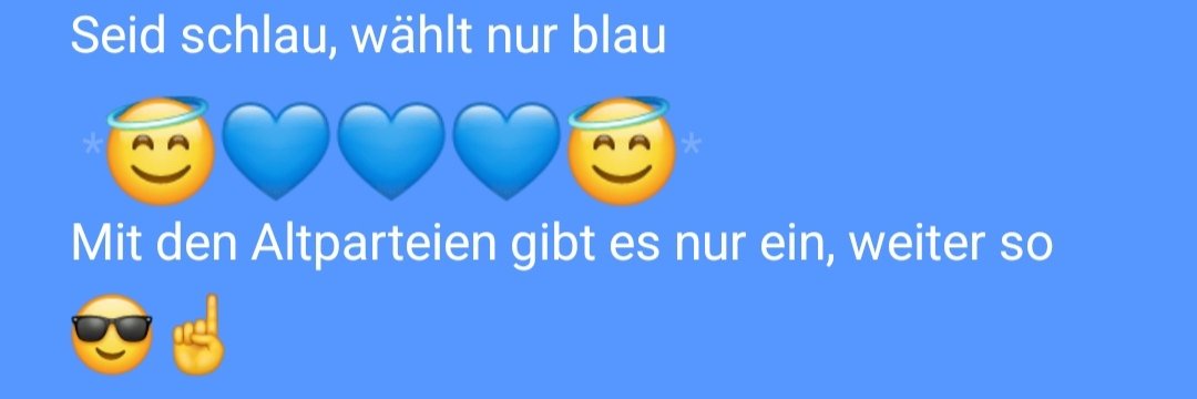 Bea Bea 🇩🇪 💙Kluge Frauen brauchen keine Quote's banner