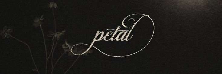 𝐾𝑒𝑣𝑖𝑛♡︎'s banner