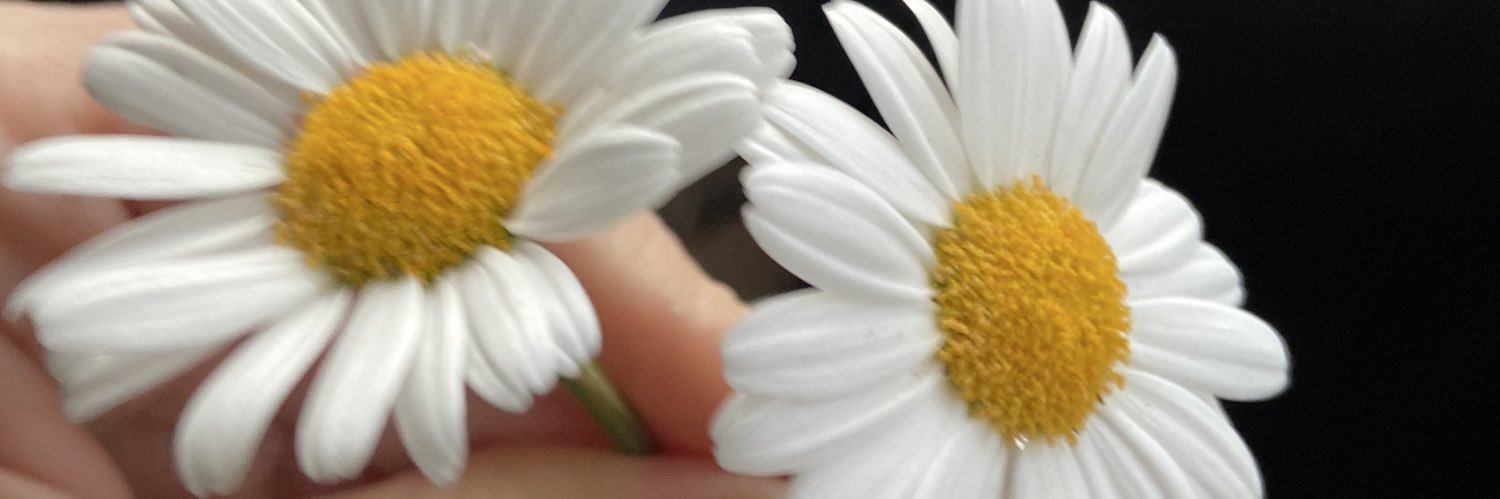 . 𝓝𝓮𝓯𝓮𝓼.'s banner