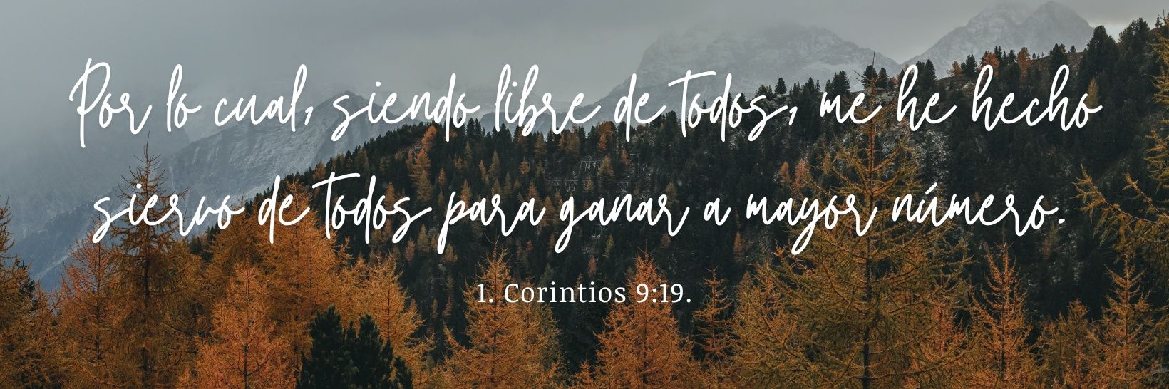 el Siervo's banner