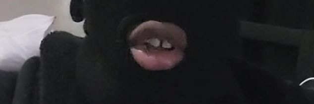 B̶l̶a̶c̶c̶R̶i̶d̶i̶n̶g̶H̶o̶o̶d̶'s banner