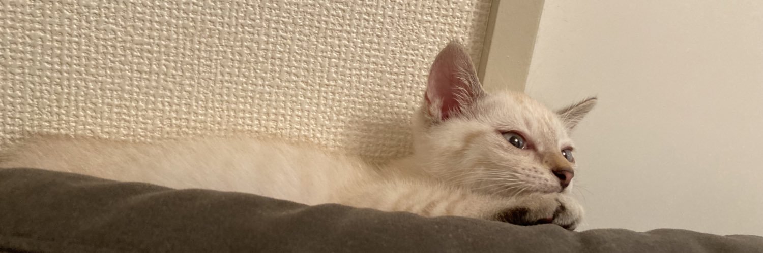 ふくンツ's banner